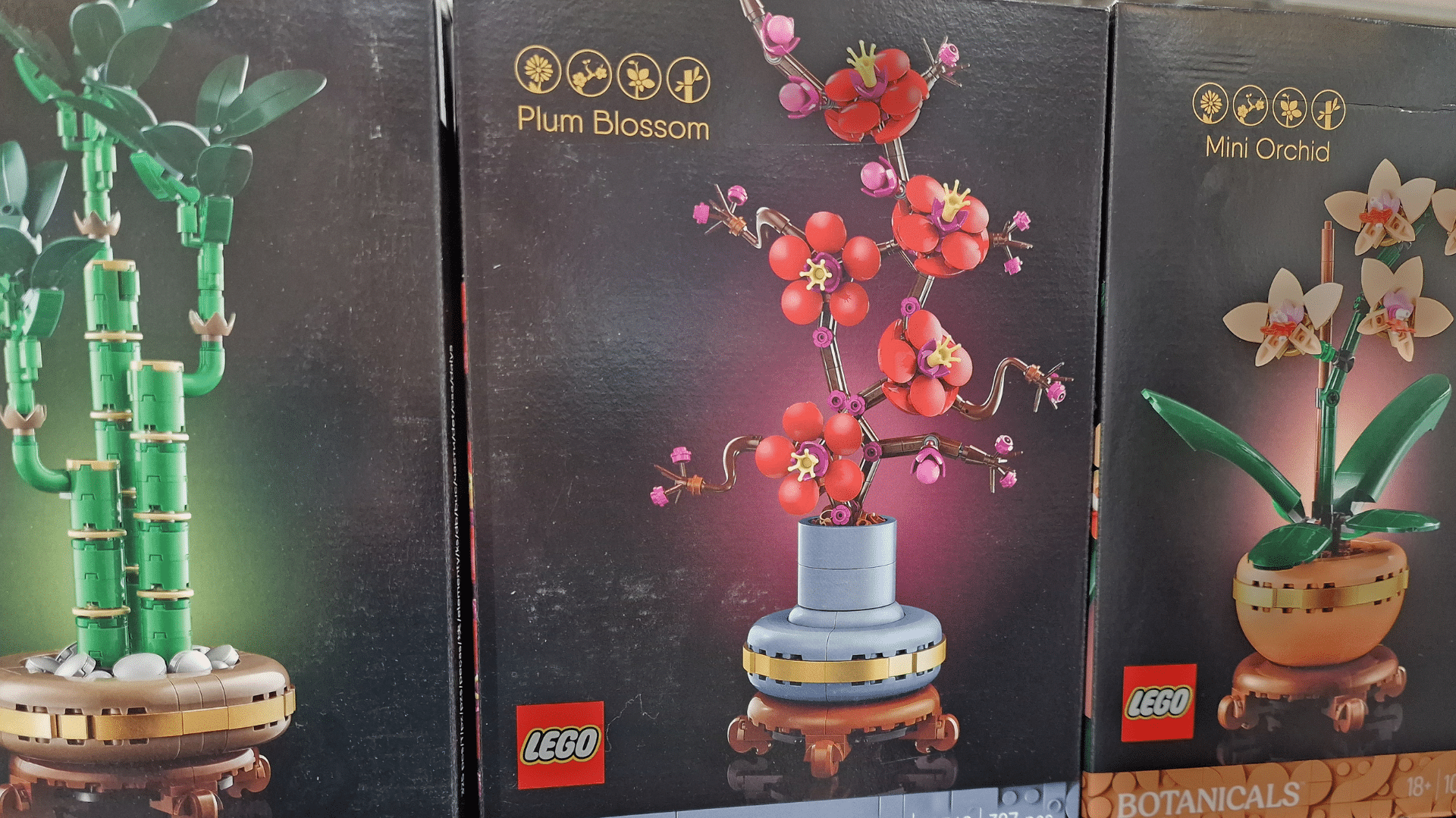 Botanical Collection LEGO Botanical Collection de mooiste bloemen en planten!